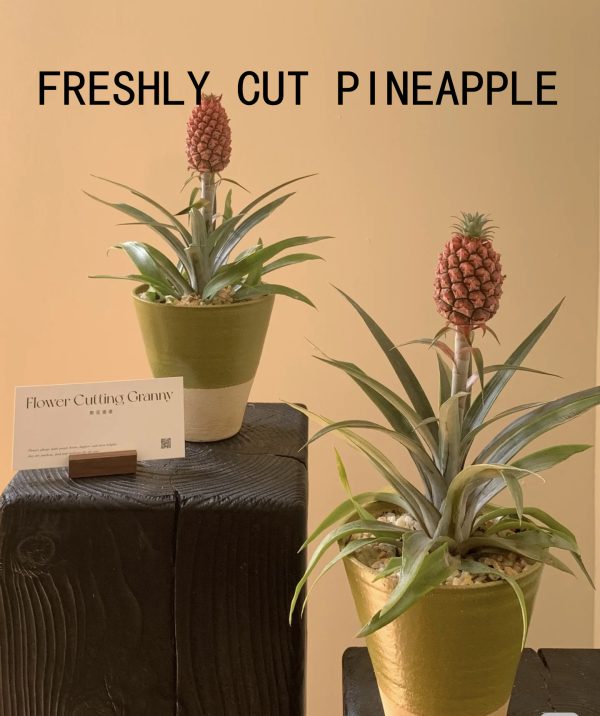 FRESH PINEAPPLE