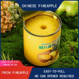 FRESH PINEAPPLE SLICES FROM CHINA